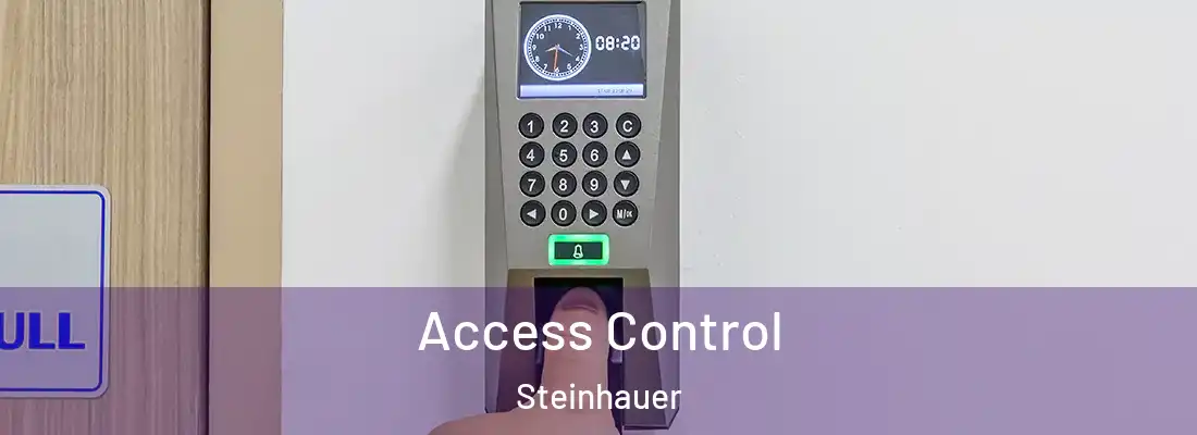 Access Control Steinhauer