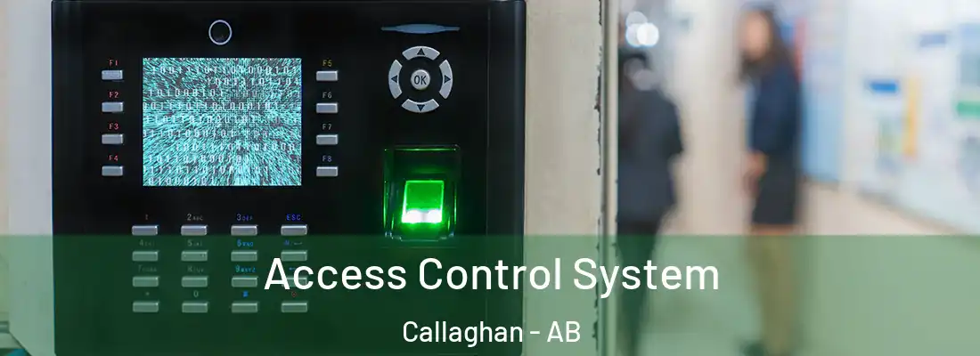  Access Control System Callaghan - AB