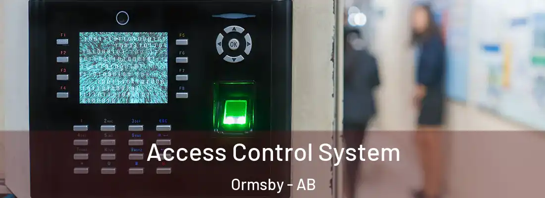  Access Control System Ormsby - AB