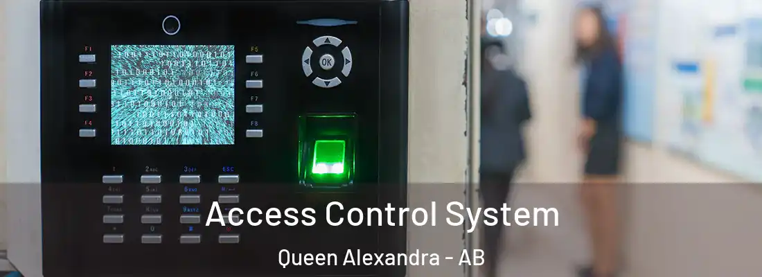 Access Control System Queen Alexandra - AB
