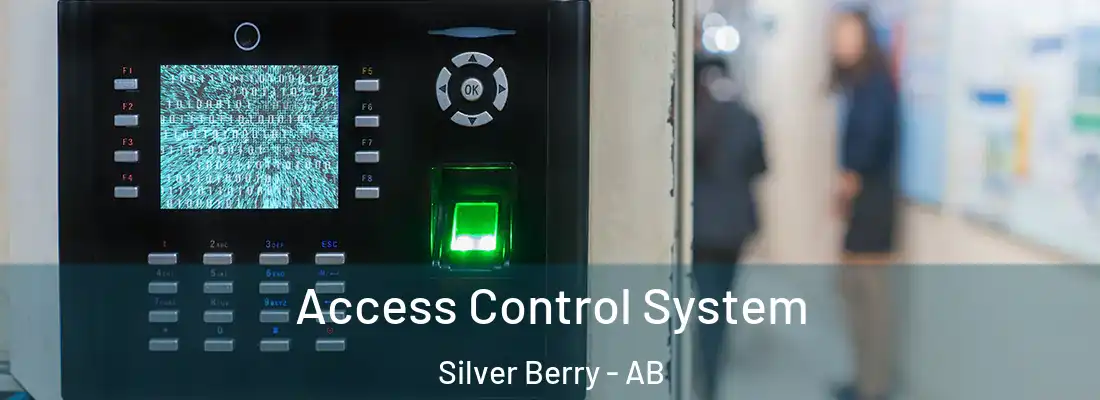  Access Control System Silver Berry - AB