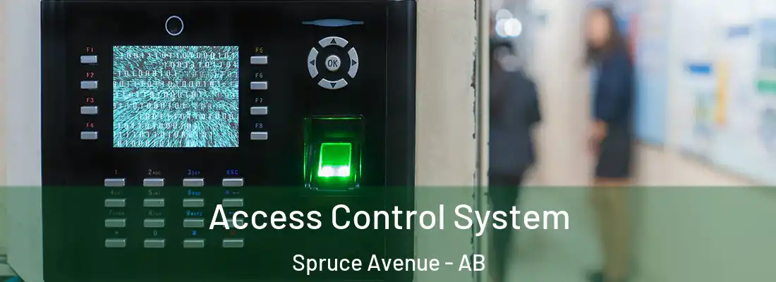  Access Control System Spruce Avenue - AB