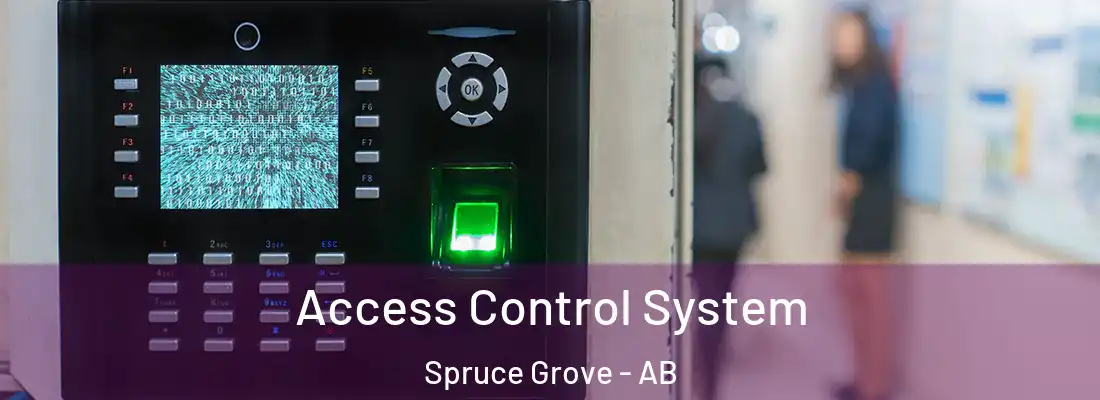  Access Control System Spruce Grove - AB