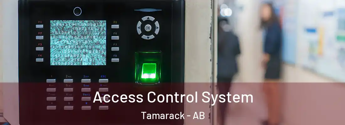  Access Control System Tamarack - AB