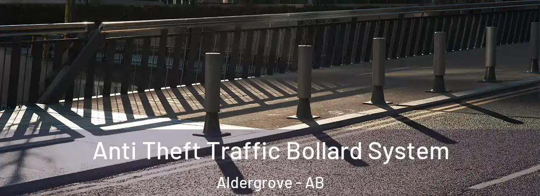  Anti Theft Traffic Bollard System Aldergrove - AB