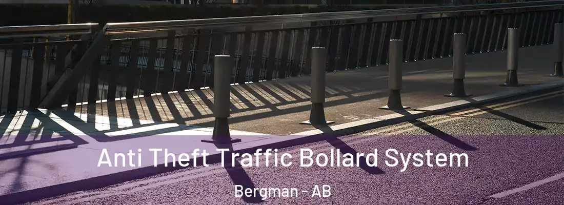  Anti Theft Traffic Bollard System Bergman - AB