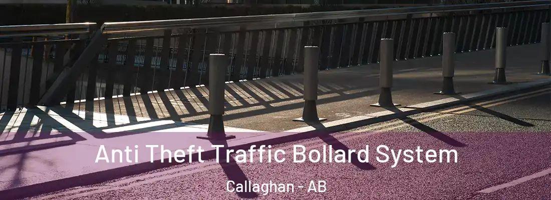  Anti Theft Traffic Bollard System Callaghan - AB