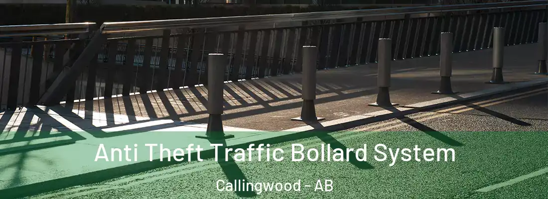  Anti Theft Traffic Bollard System Callingwood - AB
