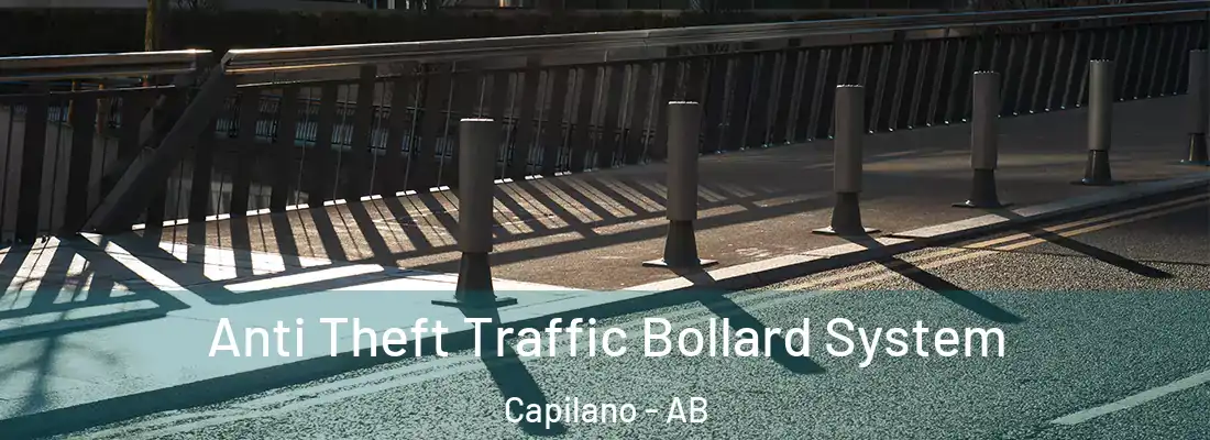  Anti Theft Traffic Bollard System Capilano - AB