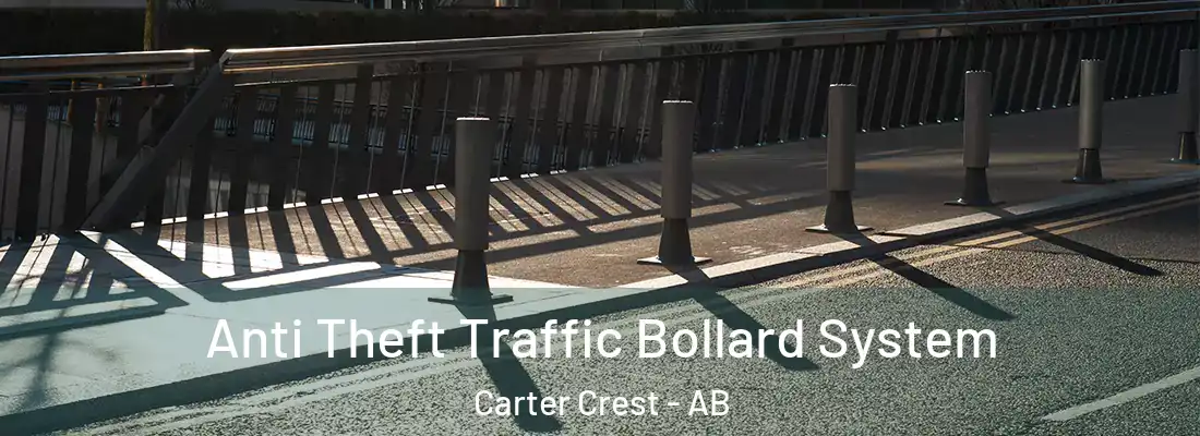  Anti Theft Traffic Bollard System Carter Crest - AB