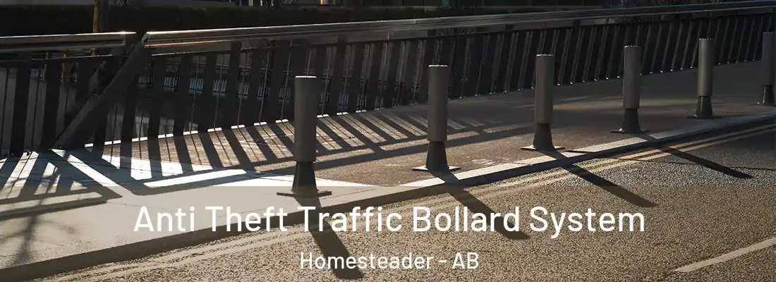  Anti Theft Traffic Bollard System Homesteader - AB