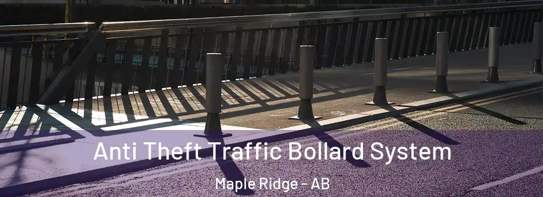  Anti Theft Traffic Bollard System Maple Ridge - AB