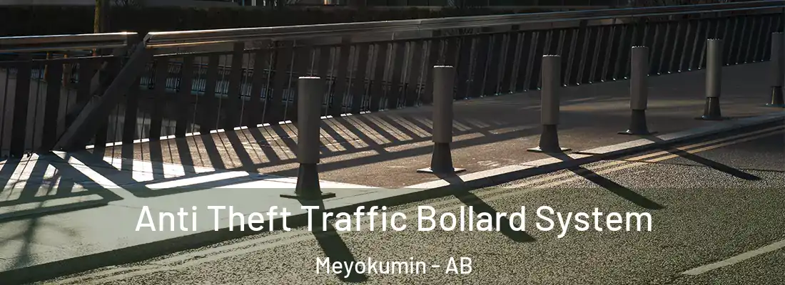  Anti Theft Traffic Bollard System Meyokumin - AB