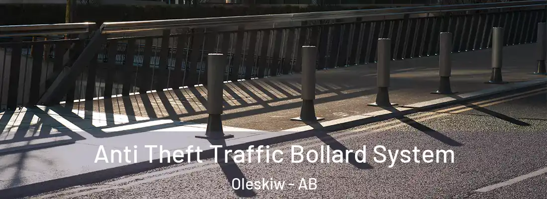  Anti Theft Traffic Bollard System Oleskiw - AB