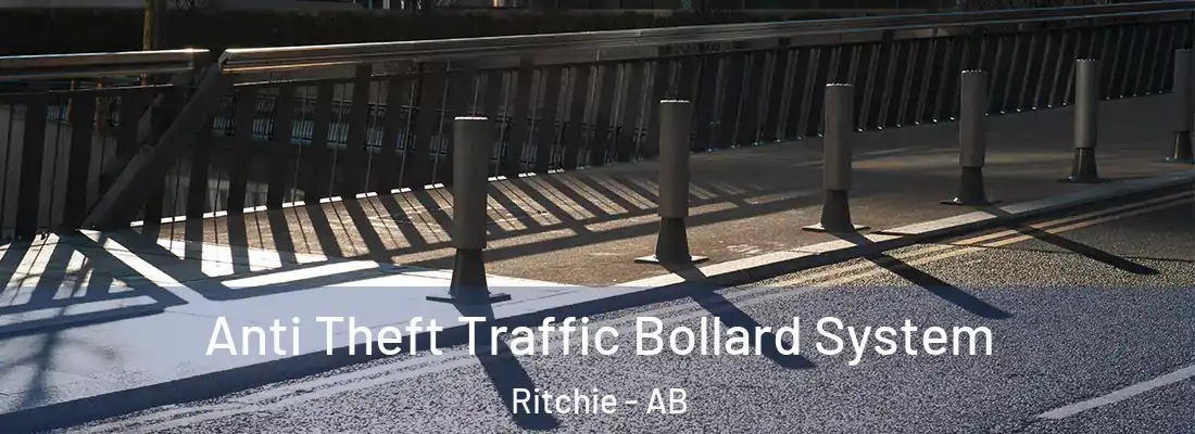  Anti Theft Traffic Bollard System Ritchie - AB