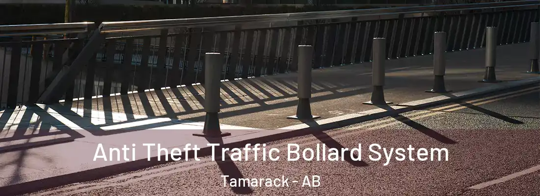  Anti Theft Traffic Bollard System Tamarack - AB