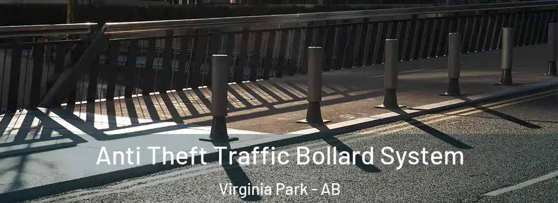  Anti Theft Traffic Bollard System Virginia Park - AB