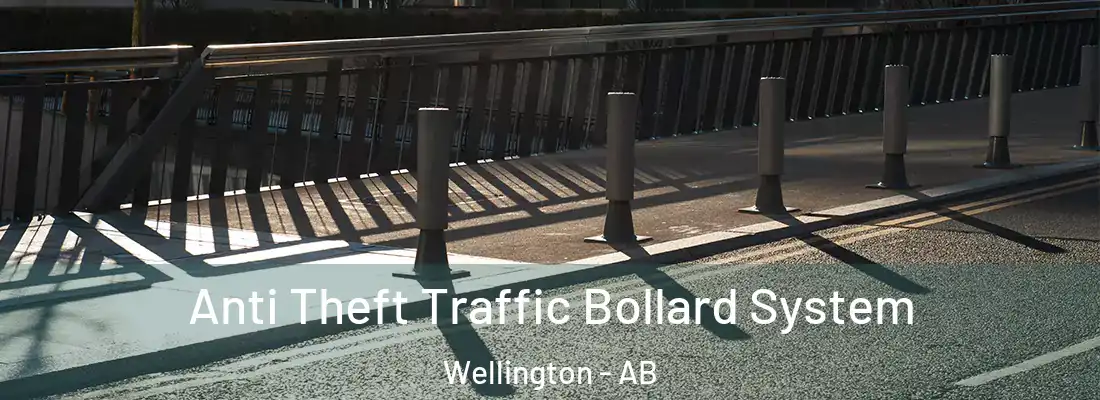  Anti Theft Traffic Bollard System Wellington - AB