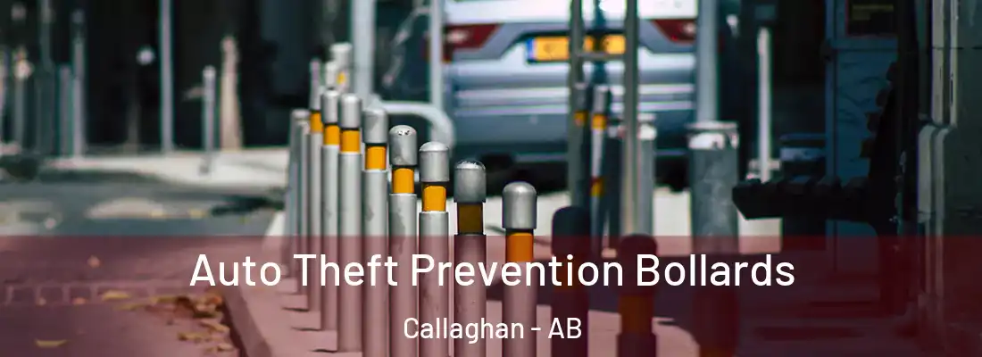  Auto Theft Prevention Bollards Callaghan - AB