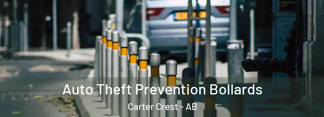  Auto Theft Prevention Bollards Carter Crest - AB