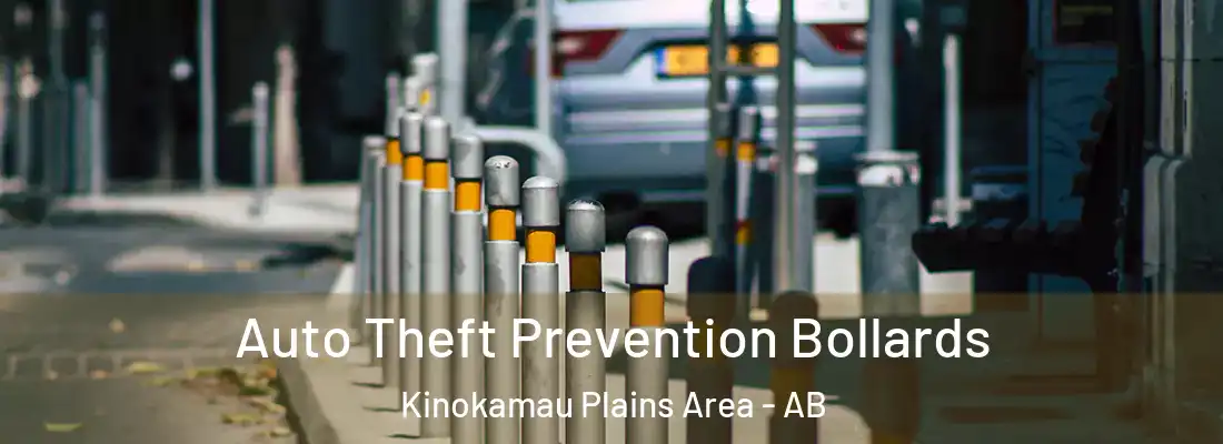  Auto Theft Prevention Bollards Kinokamau Plains Area - AB