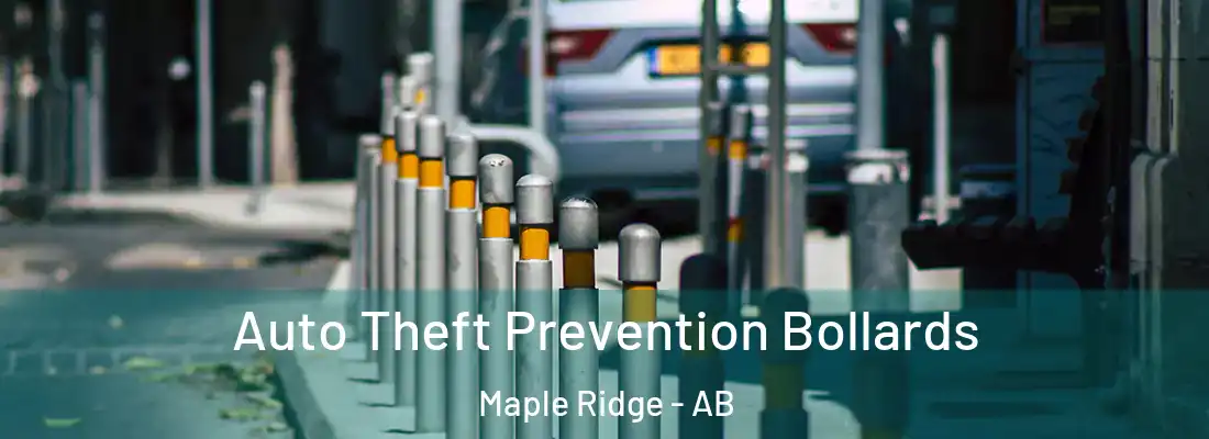  Auto Theft Prevention Bollards Maple Ridge - AB