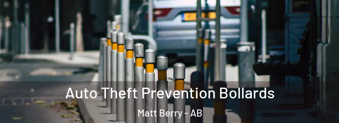  Auto Theft Prevention Bollards Matt Berry - AB