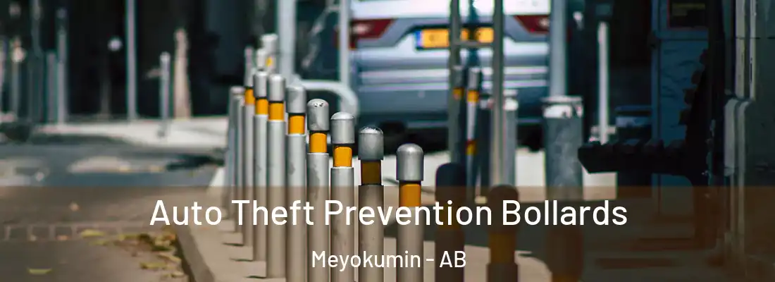  Auto Theft Prevention Bollards Meyokumin - AB