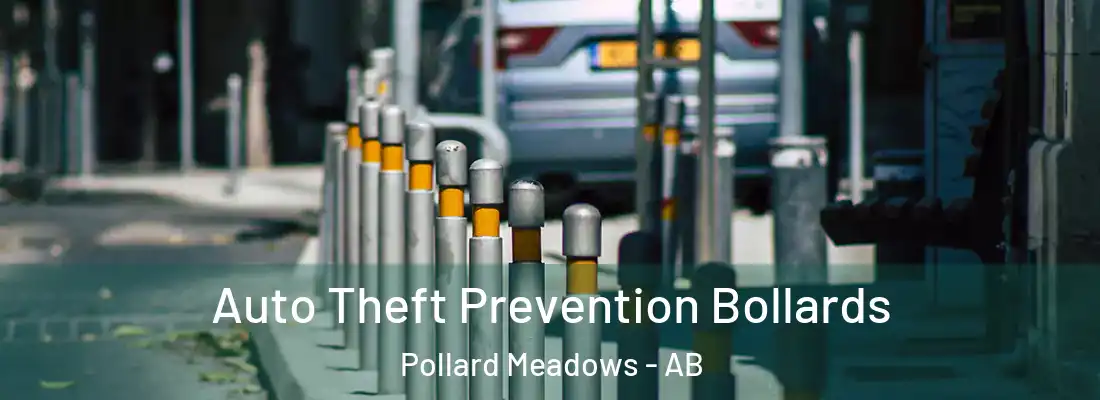  Auto Theft Prevention Bollards Pollard Meadows - AB