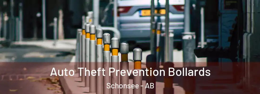  Auto Theft Prevention Bollards Schonsee - AB