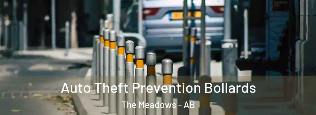  Auto Theft Prevention Bollards The Meadows - AB