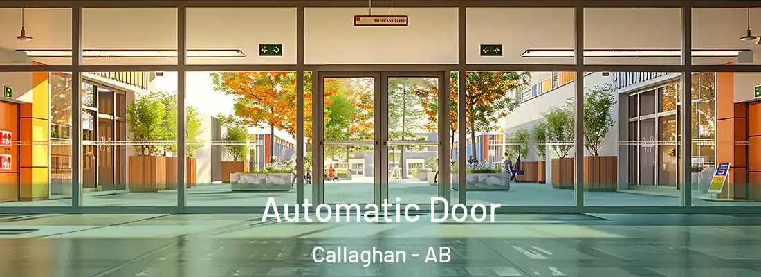  Automatic Door Callaghan - AB