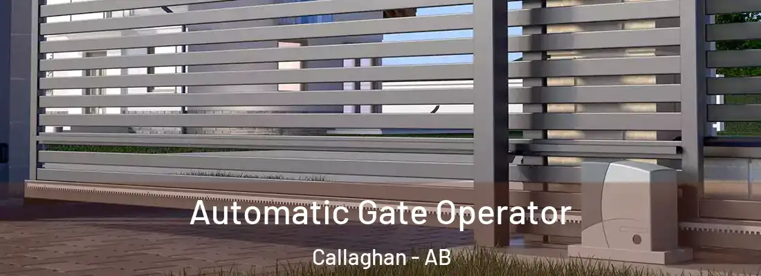  Automatic Gate Operator Callaghan - AB