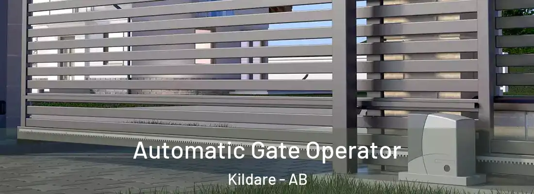  Automatic Gate Operator Kildare - AB