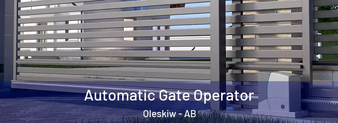  Automatic Gate Operator Oleskiw - AB