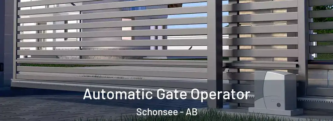  Automatic Gate Operator Schonsee - AB