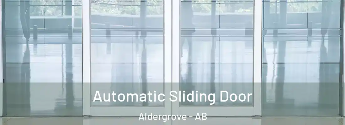  Automatic Sliding Door Aldergrove - AB