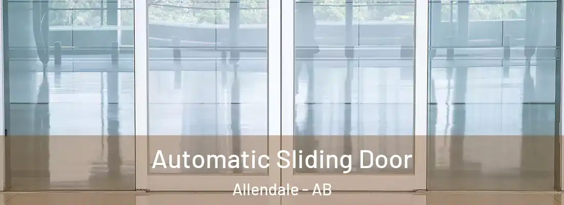  Automatic Sliding Door Allendale - AB