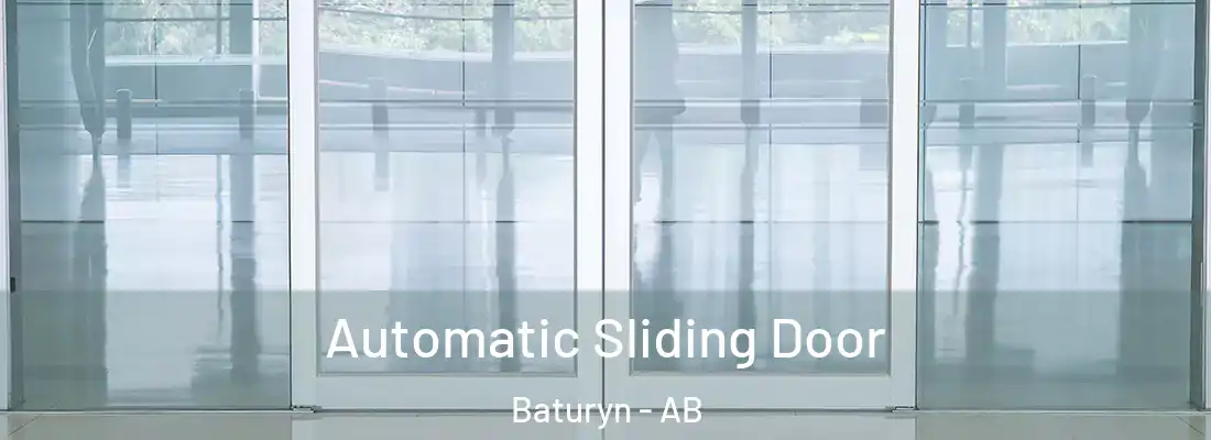  Automatic Sliding Door Baturyn - AB