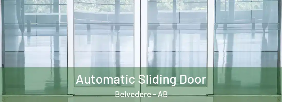  Automatic Sliding Door Belvedere - AB