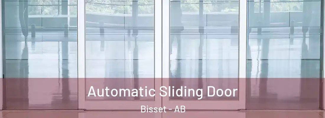  Automatic Sliding Door Bisset - AB