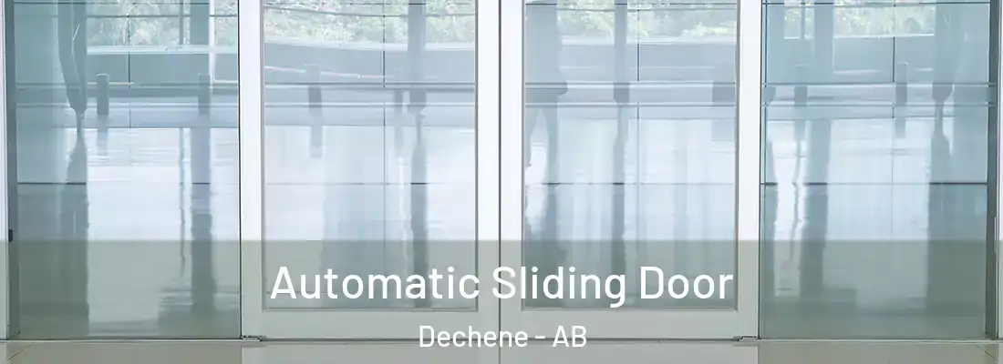  Automatic Sliding Door Dechene - AB