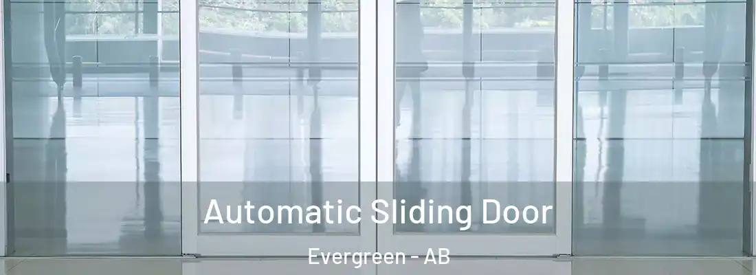  Automatic Sliding Door Evergreen - AB