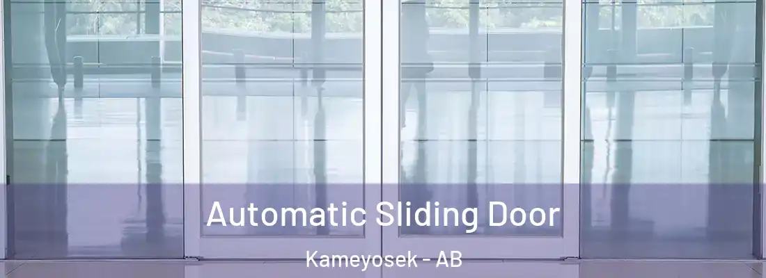 Automatic Sliding Door Kameyosek - AB