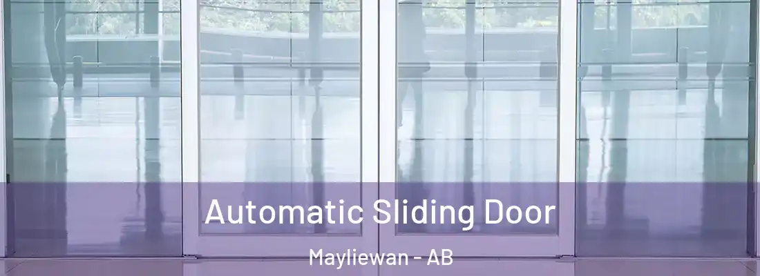  Automatic Sliding Door Mayliewan - AB