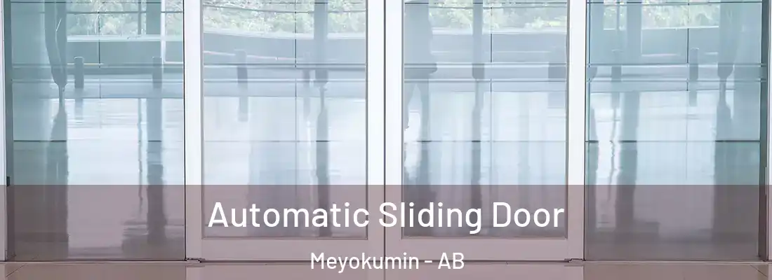  Automatic Sliding Door Meyokumin - AB
