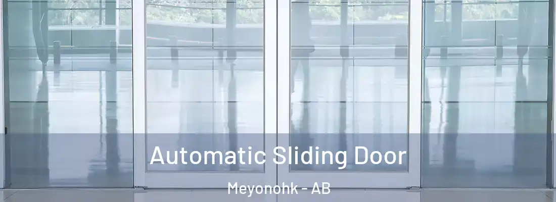  Automatic Sliding Door Meyonohk - AB