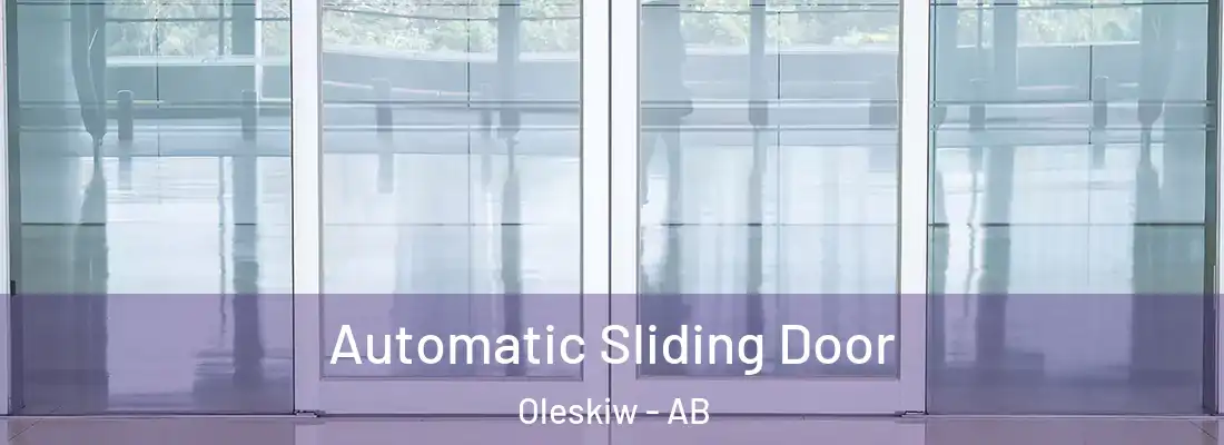  Automatic Sliding Door Oleskiw - AB