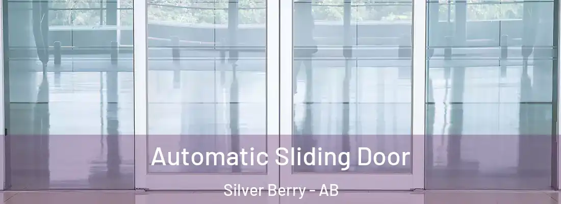  Automatic Sliding Door Silver Berry - AB