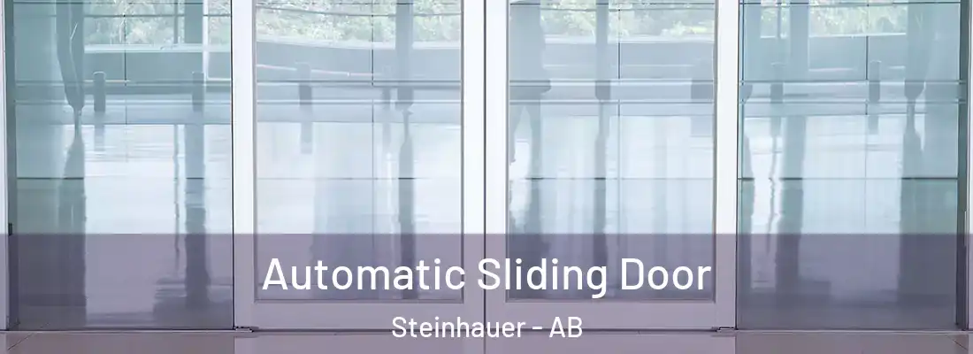  Automatic Sliding Door Steinhauer - AB